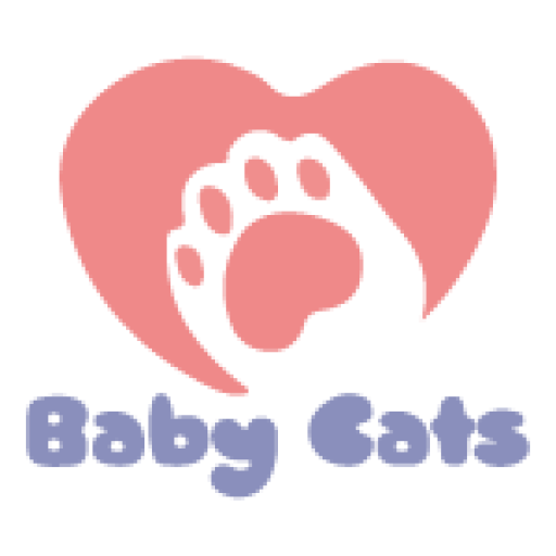 Baby Cats